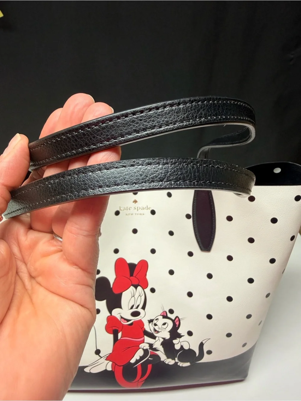 kate spade disney kate